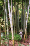Kamakura-11.tif