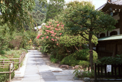 Kamakura-12.tif