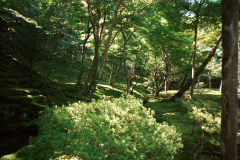 Kyoto-01.tif