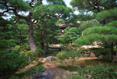 Kyoto-05.tif