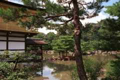Kyoto-10.tif