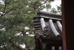 Kyoto-12.tif
