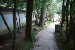 Kyoto-14.tif