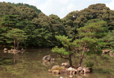 Kyoto-21.tif