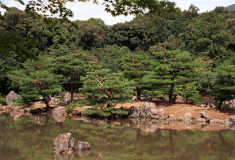 Kyoto-29.tif