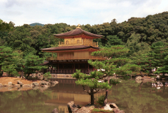 Kyoto-30.tif