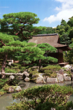 Kyoto-31.tif
