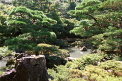 Kyoto-36.tif