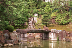 Kyoto-37.tif