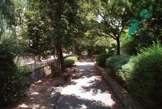 Kyoto-46.tif