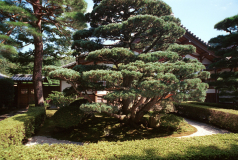 Kyoto-47.tif