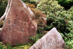Miyajima_007.tif
