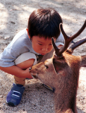 Miyajima_015.tif