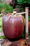 Miyajima_022.tif
