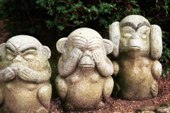 Miyajima_026.tif