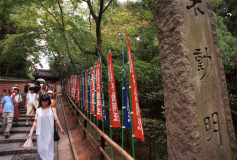 Ryoanji-07.tif