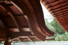 Ryoanji-11.tif