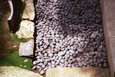 Ryoanji-15.tif
