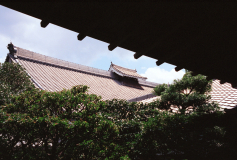 Ryoanji-16.tif