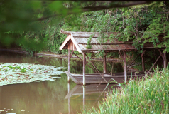 Ryoanji-18.tif