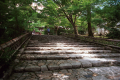 Ryoanji-25.tif