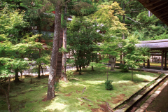 Ryoanji-27.tif
